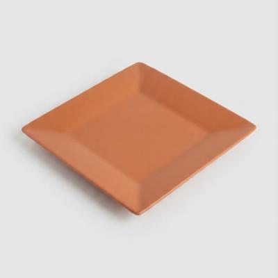 Minimalist Terracotta Square Ceramic Plate